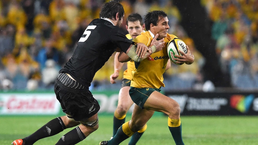 Wallabies half-back Nick Phipps in action against New Zealand in the Test in Sydney in August 2014.