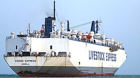 Livestock ship anchored off Kuwait