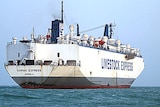 Livestock ship anchored off Kuwait