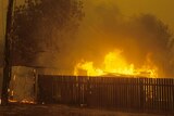Backyard burning in Kambah