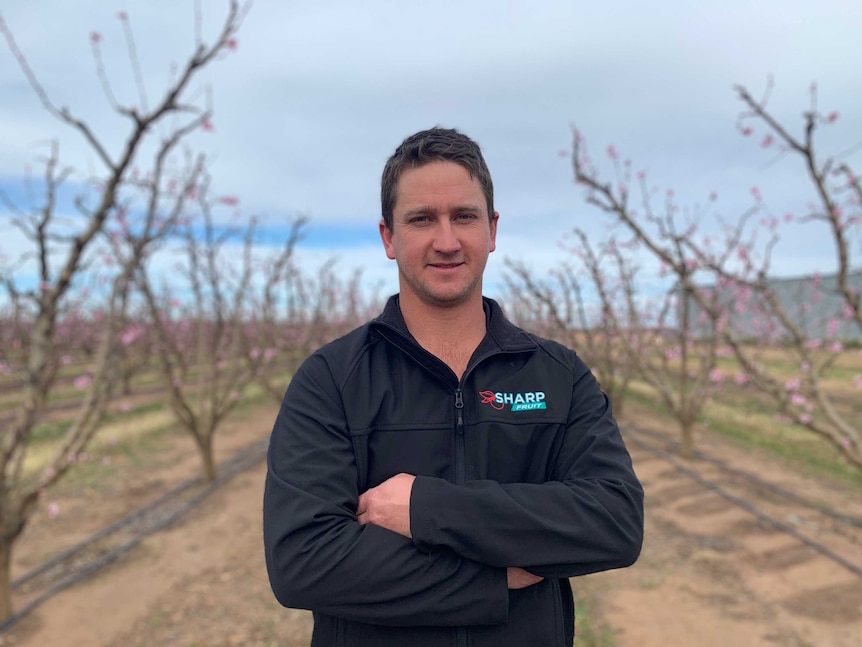 Man stands with his arms crossed in front of blossoming fruit trees