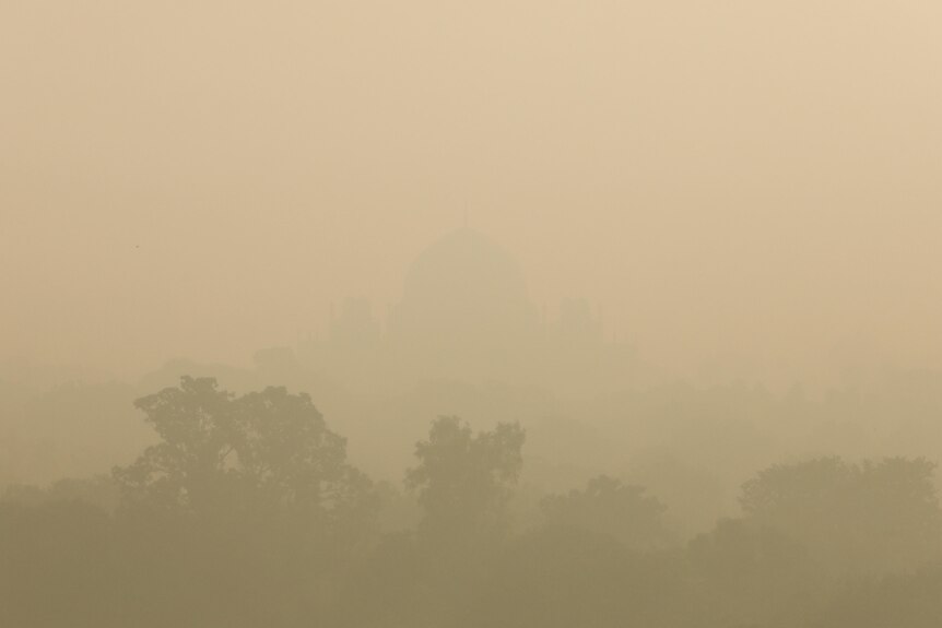 thick orange smog is seen enveloping trees