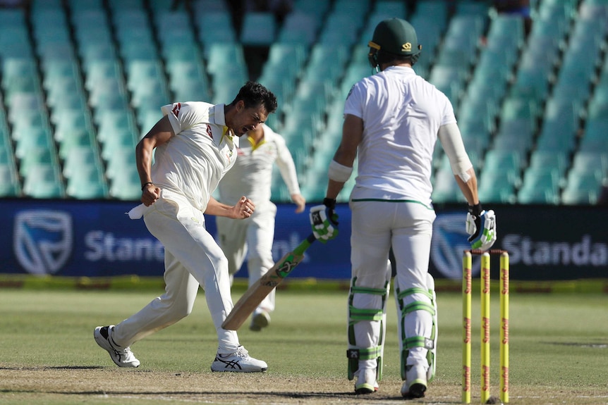 Mitchell Starc celebrates Faf du Plessis' wicket