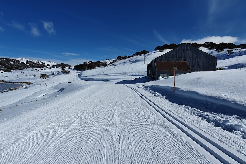 A snow covered road with a shed situated to the right of it 