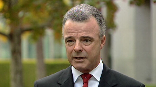 The AIPA says Federal Opposition Leader Brendan Nelson was a lone cynical voice among the 2020 summit contributors.