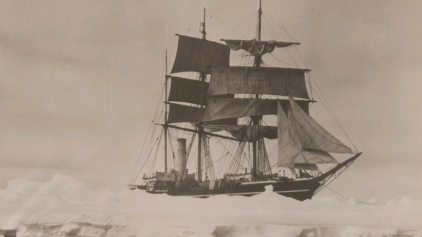 The SS Terra Nova, which Robert Falcon Scott sailed to the Antarctic on an expedition in 1910.