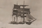 The SS Terra Nova, which Robert Falcon Scott sailed to the Antarctic on an expedition in 1910.