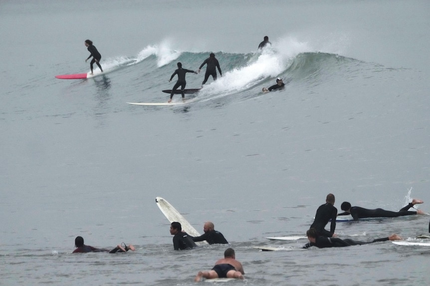 A group of people in the sea stand and sit on surfboards.