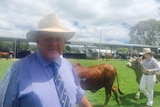 Pastoralist Colin Brett standing in front of cattle at the Tenterfield Show in New South Wales