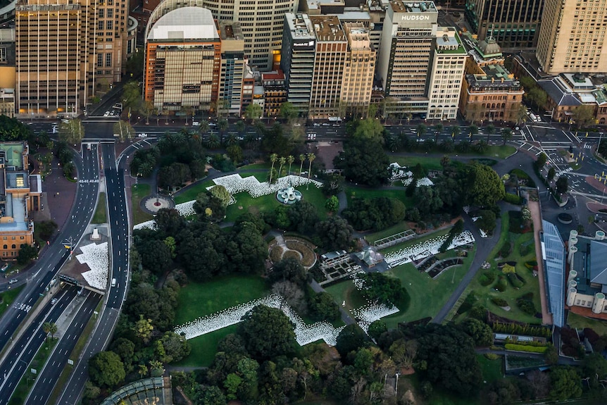 Bired's-eye view of art installation at the sydney botanic gardens by artist jonathan jones