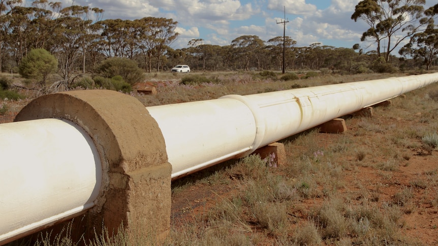 The Goldfields pipeline in the WA bush