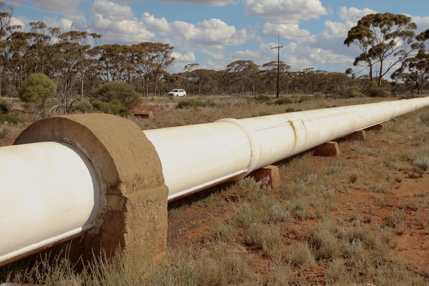The Goldfields pipeline in the WA bush