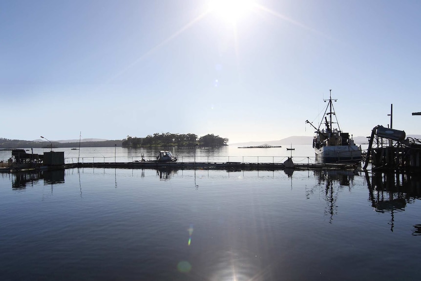 Tassal's on water operations at Dover, Tasmania.