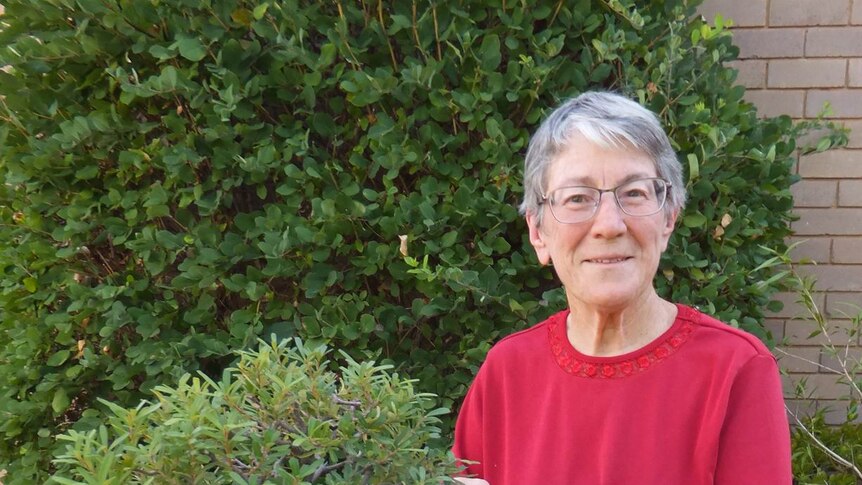 Ruth McLucas said Canberra's bonsai community growing