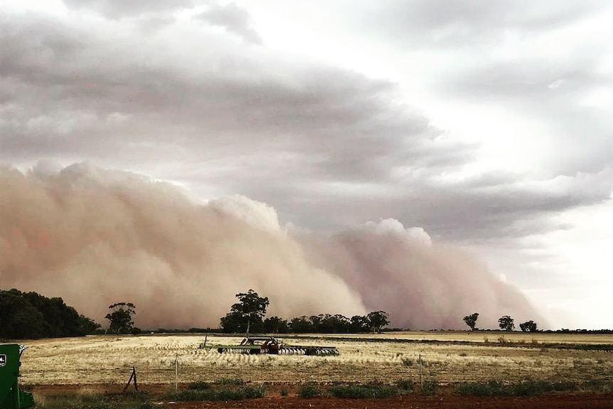 A dust storm rolls over farmland at Boort.