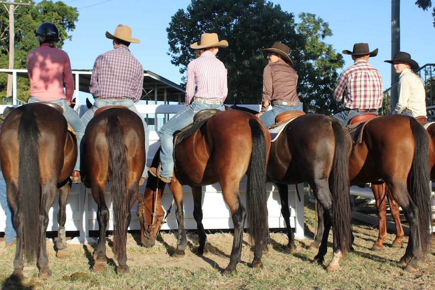 Riders line up to compete at the Clermont campdraft