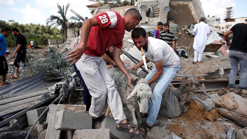 Palestinian men remove a sheep from the rubble of a house after an Israeli air strike in Gaza City.