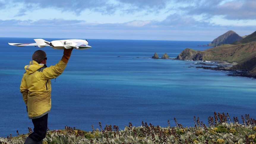 Ecologist Jarrod Hodgson launches a fixed wing drone on Australia's sub-Antarctic Macquarie Island.
