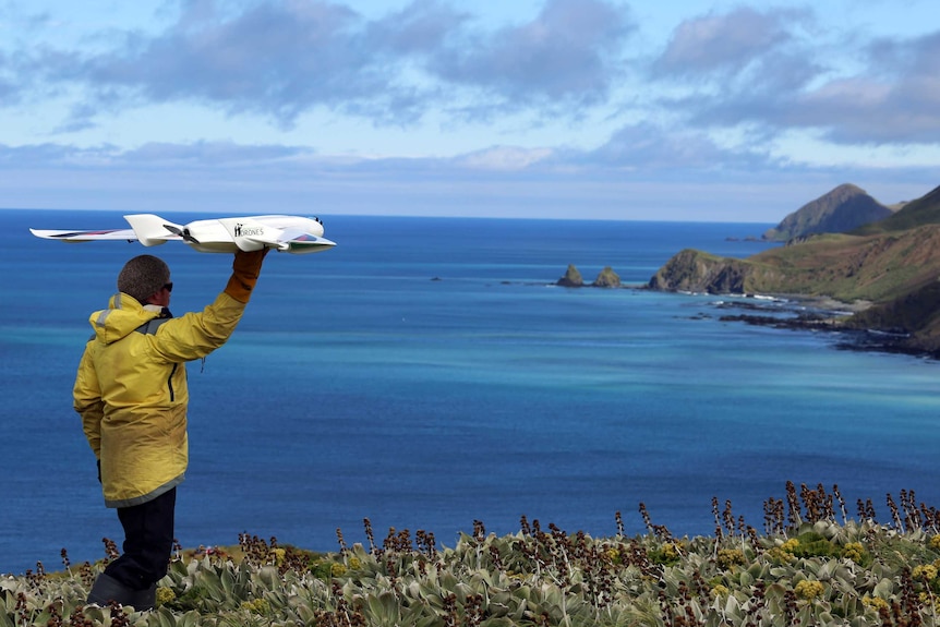 Ecologist Jarrod Hodgson launches a fixed wing drone on Australia's sub-Antarctic Macquarie Island.