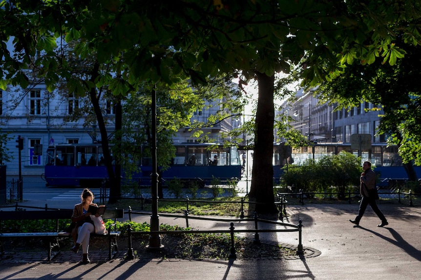 A woman reads on a park bench under the shade of a tree.