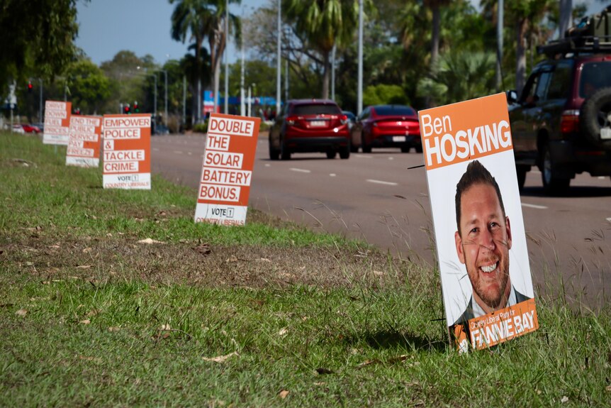 political signs next to a road lined with palm trees