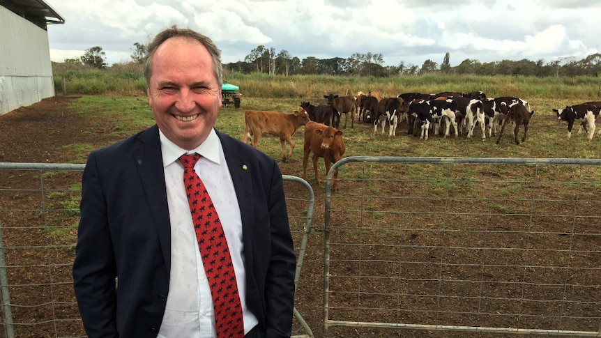 Deputy Prime Minister Barnaby Joyce in Gippsland with dairy cows