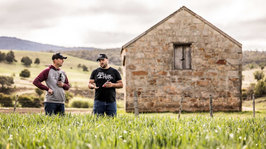 two men in field of wheat with historic farm shed in background