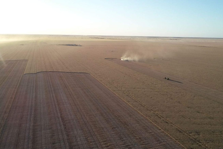 A wheat paddock from the air with headers and chaser bin