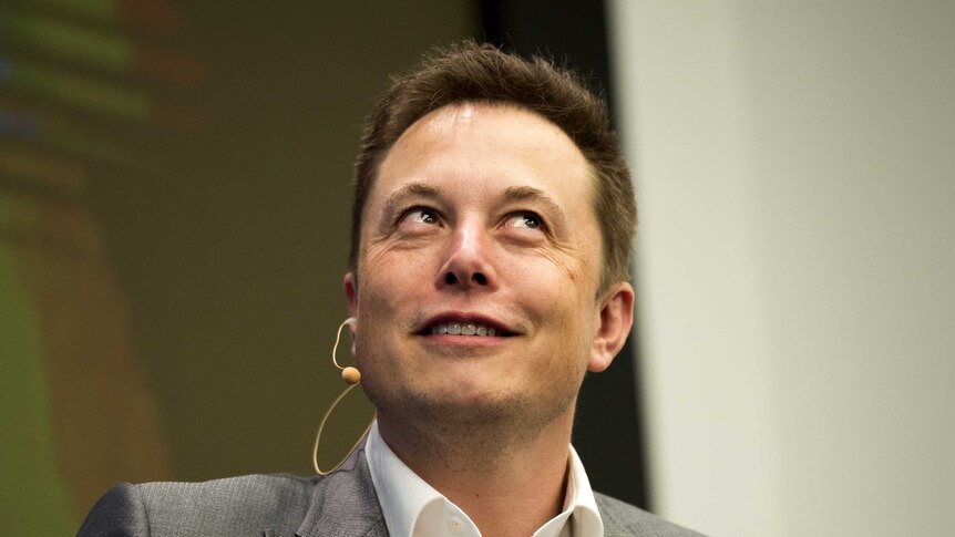 Tesla CEO Elon Musk smiles during a speech at an energy summit.