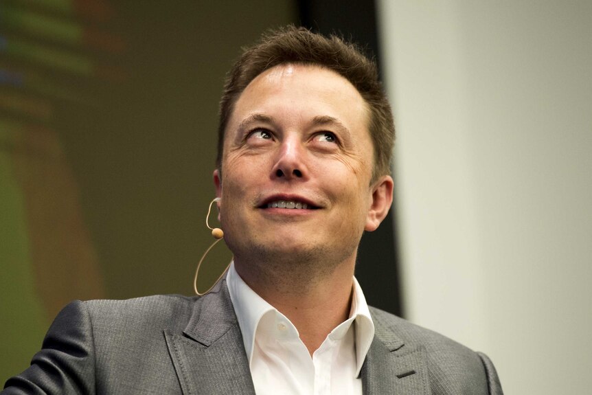 CEO of Tesla Motors Elon Musk smiles during a speech at an energy summit.
