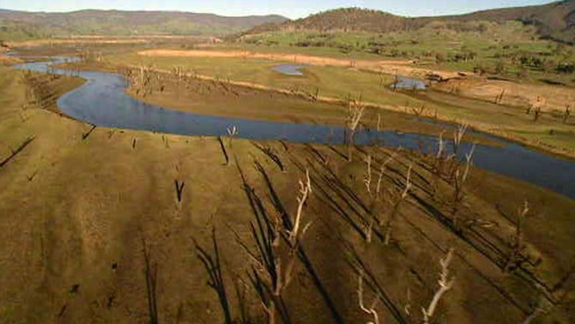 Dead trees stand alongside the Murray-Darling