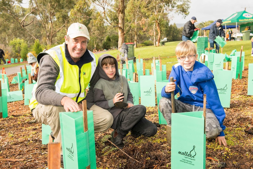 A man in a hi-viz work vest and two children planting trees in a public space.