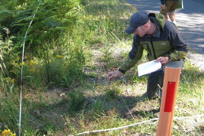 man in parkers kneels down to look at roadside grass and weeds