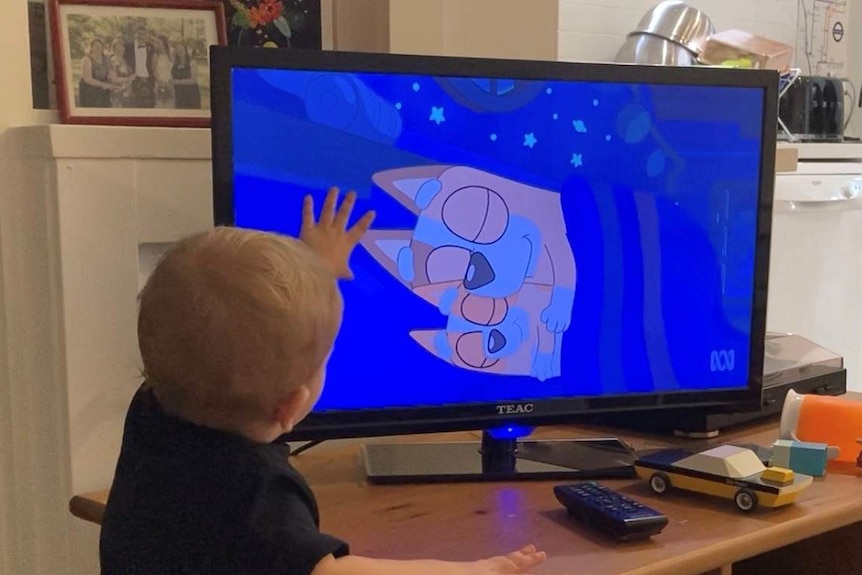 A young child puts his hand up to a TV screen showing the animated series Bluey.