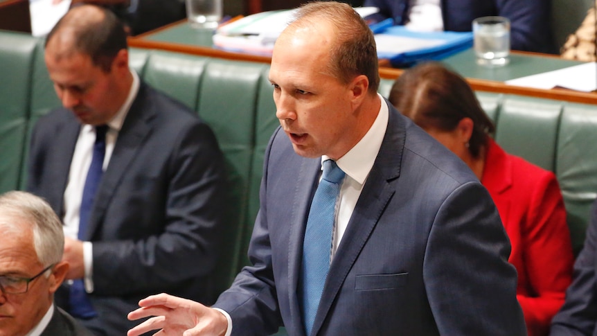 Peter Dutton speaks in Parliament on November 7, 2016.