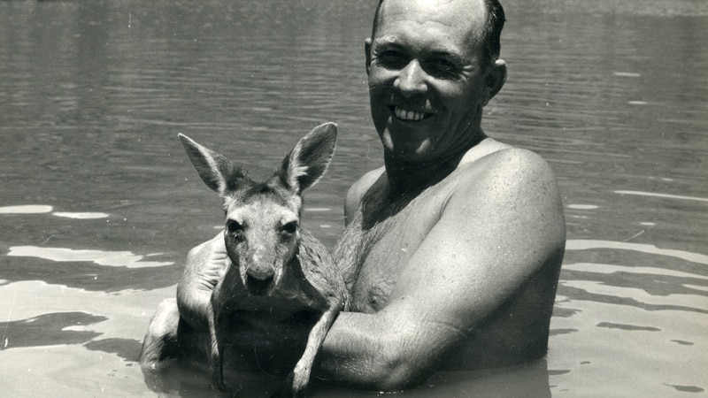 Bert Lee carries a wallaby through the water.