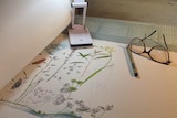 A piece of scroll paper with drawings of flora on it and a pen, pair of glasses and light sitting on top.