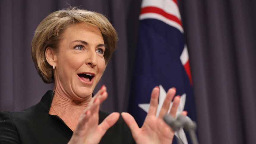 Michaelia Cash's mouth is open wide as she addresses the media. Her hands are outstretched in front, an Australian flag behind.