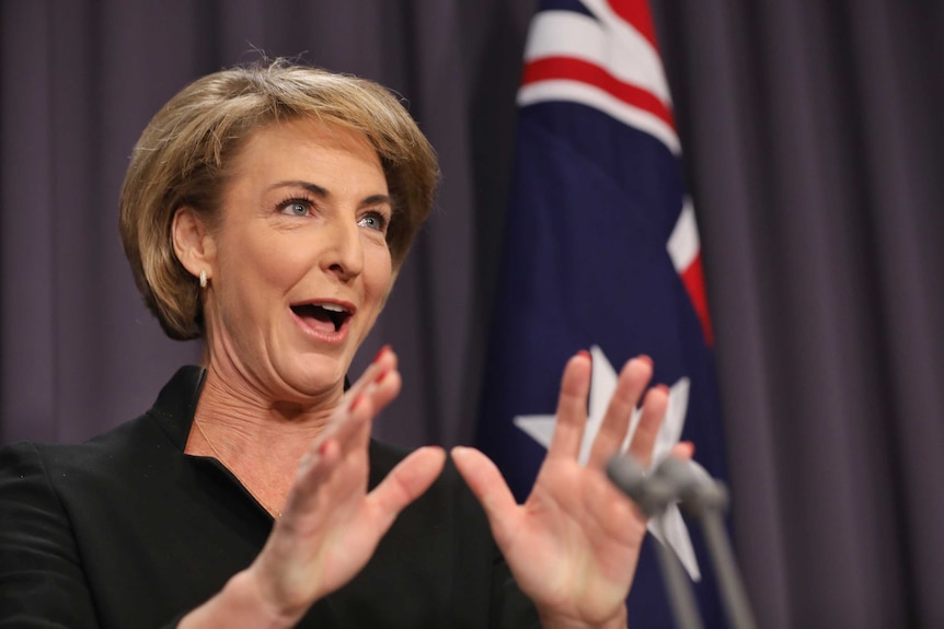 Michaelia Cash's mouth is open wide as she addresses the media. Her hands are outstretched in front, an Australian flag behind.