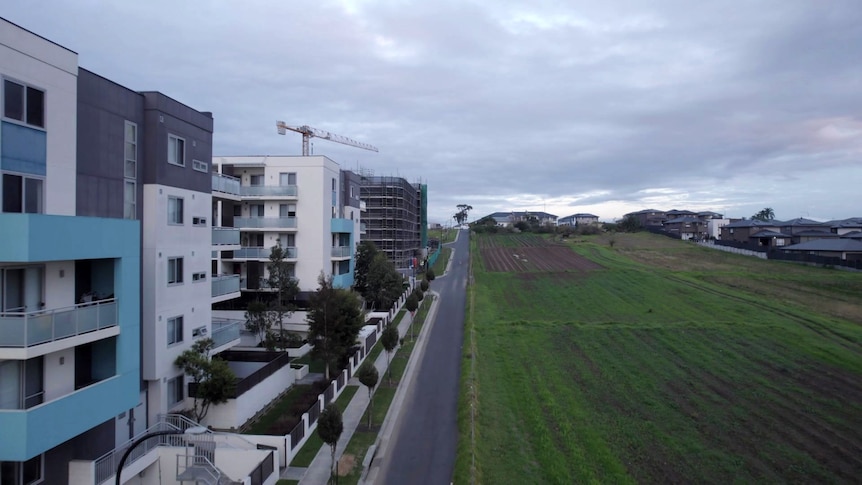 A drone shot of housing development and green pastures, divided by a single road.