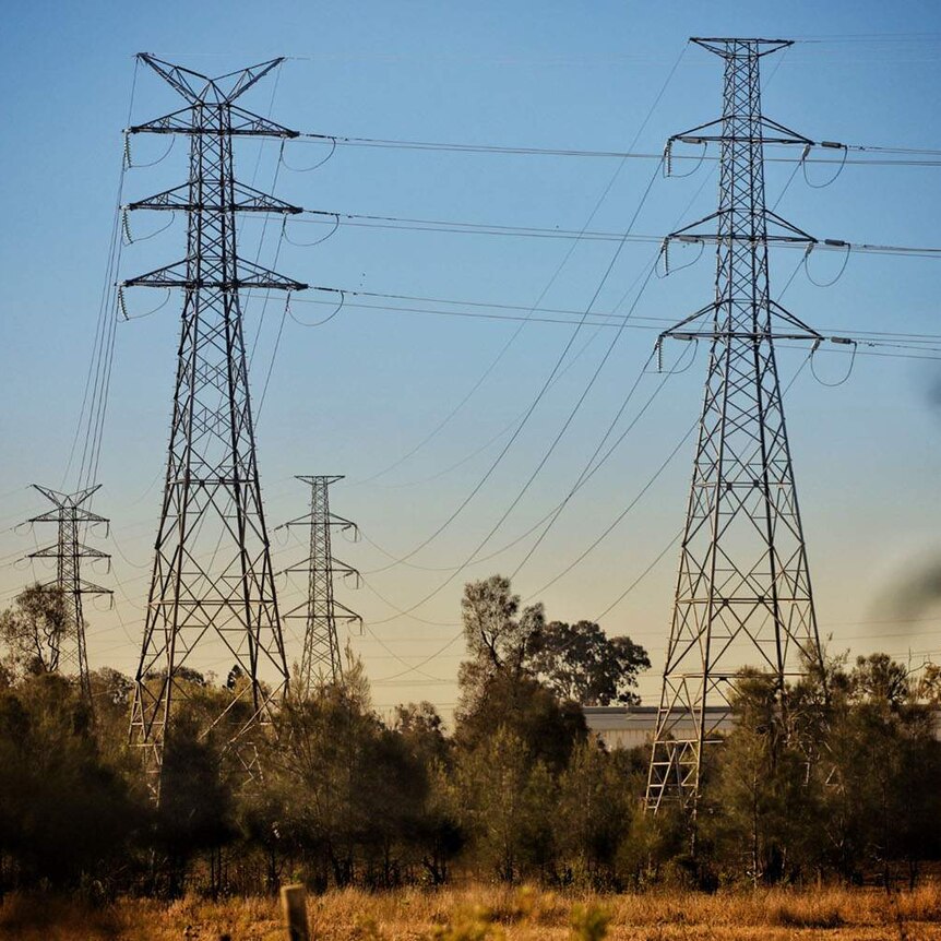 High tension power lines on steel towers in a paddock at Oxley Creek Common at Rocklea on Brisbane's southside.
