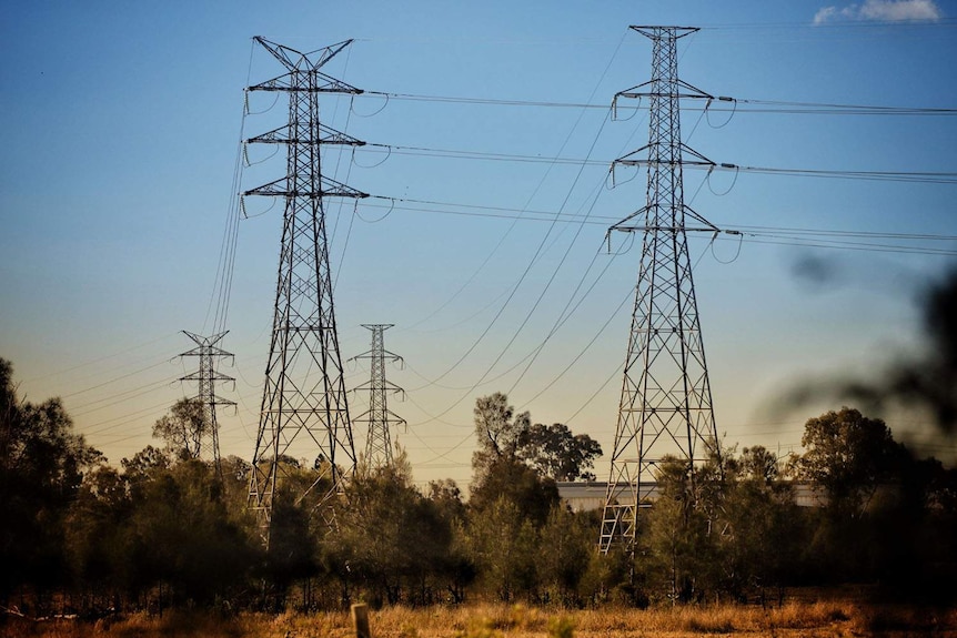 High tension power lines on steel towers in a paddock at Oxley Creek Common at Rocklea on Brisbane's southside.