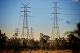 High tension power lines on steel towers in a paddock at Oxley Creek Common at Rocklea on Brisbane's southside.