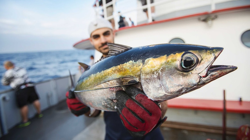 A man holding a yellowfin tuna towards the camera.