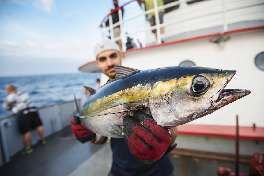 A man holding a yellowfin tuna towards the camera.
