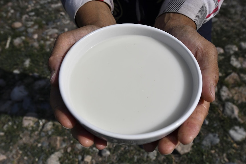 A person offers a taste of kumis, or fermented horse's milk, from a small drinking bowl