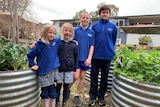 Four primary school students in a garden