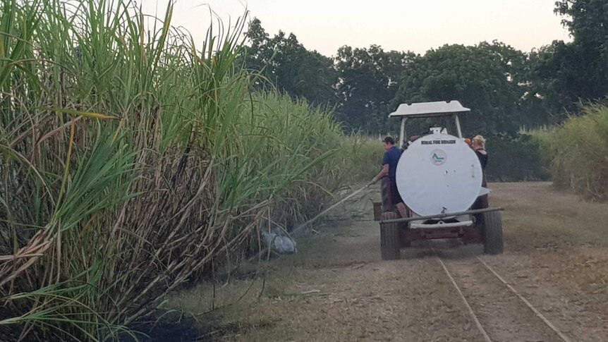 Sugar cane row with water truck beside it and a man spraying.