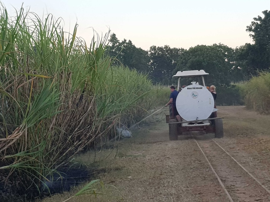 Sugar cane row with water truck beside it and a man spraying.