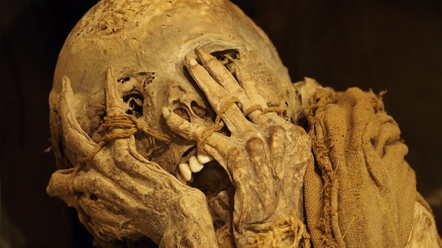 Inca mummy discovered in Kuelap